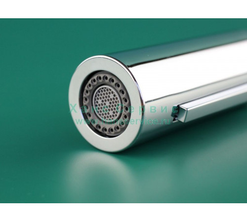 Душевая лейка кухонного смесителя Talis M51 Hansgrohe 92732000