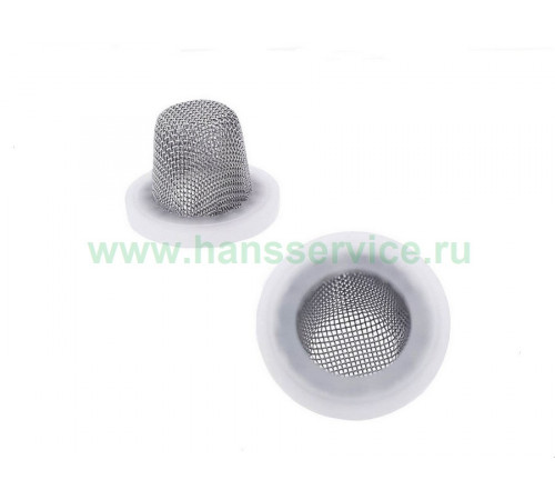 Сетчатые фильтры (2 шт.) Hansgrohe 95291000